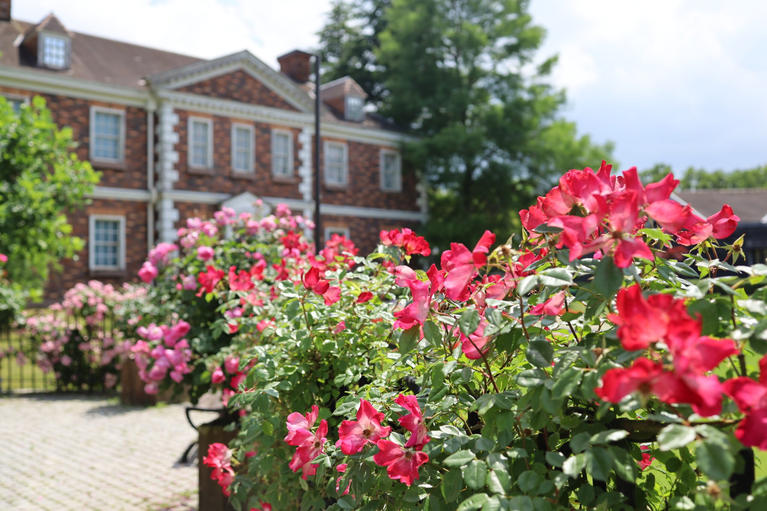 🏞️ 슈젠지 니지노사토(무지개 마을) 이미지 8